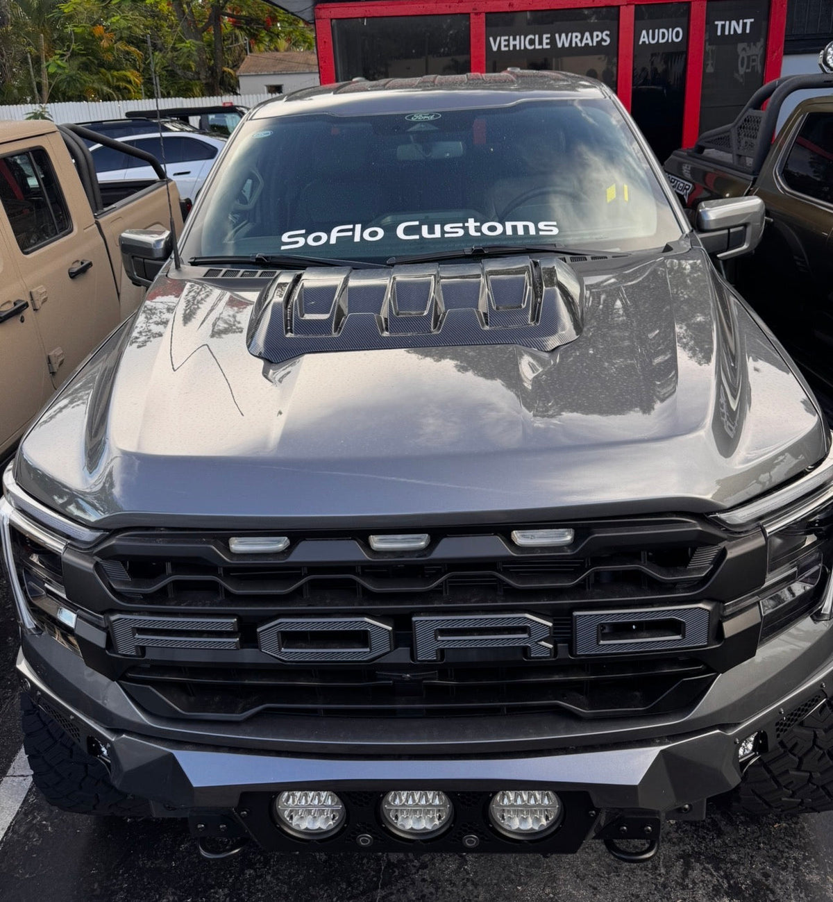 F150 HOOD SCOOP CARBON FINISH