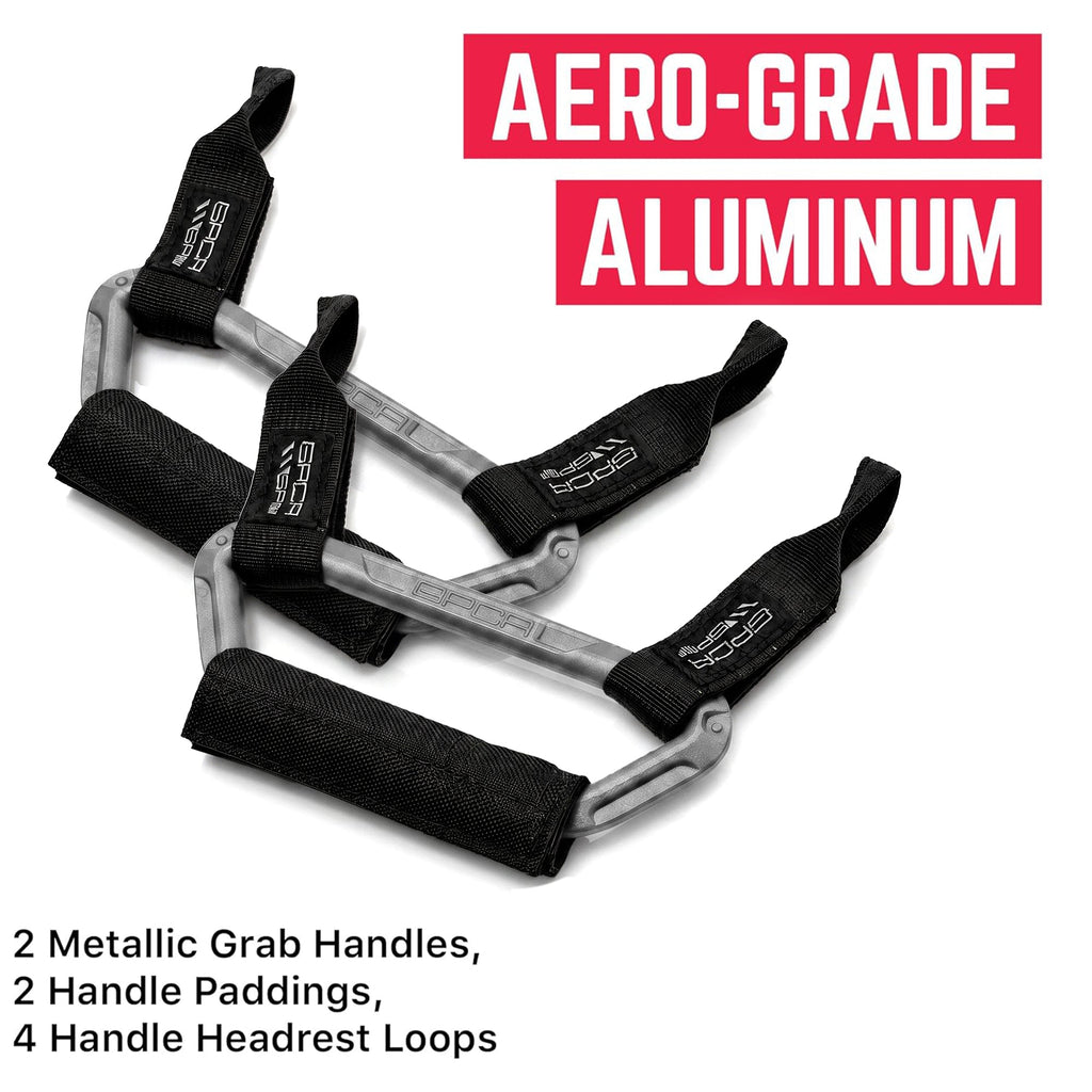 Back Grip PRO Headrest Handles for TESLA S/ 3/ Y